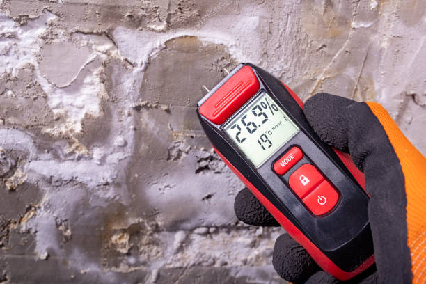Best Mold Remediation  in Florence, TX